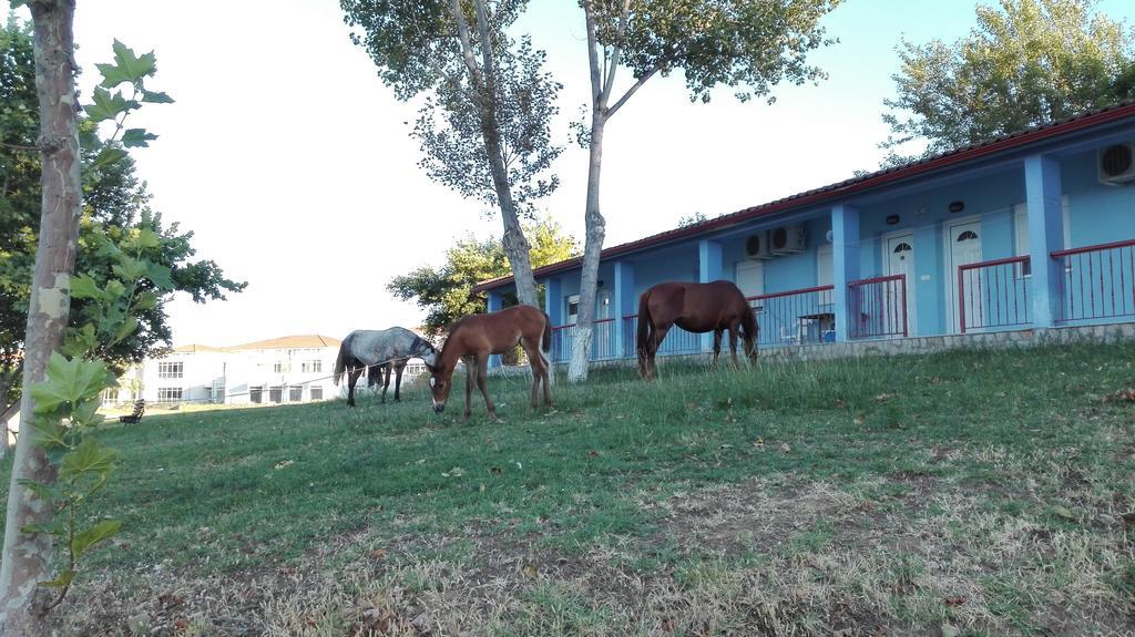 Familia Hotel Loutra Volvis Exterior foto